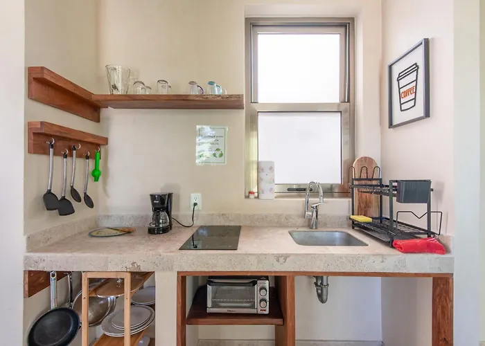 Apartamento Jungle Loft With Terrace & Natural Light - Santuario Boutique *