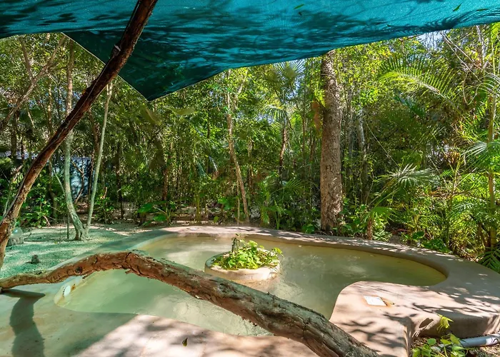 Apartamento Jungle Loft With Terrace & Natural Light - Santuario Boutique *