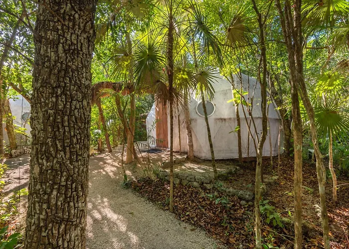 Jungle Loft With Terrace & Natural Light - Santuario Boutique Apartamento